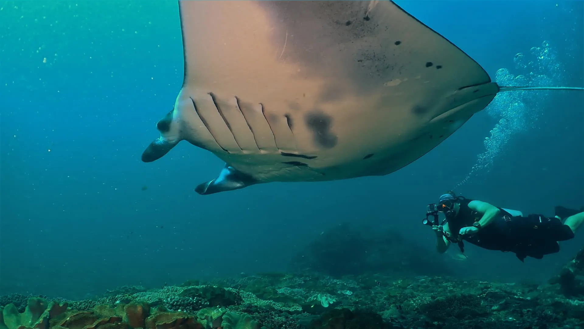 GO Diving Certified Fun Diving Bali